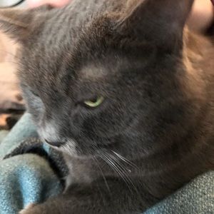 Meet your Posher, Susannah